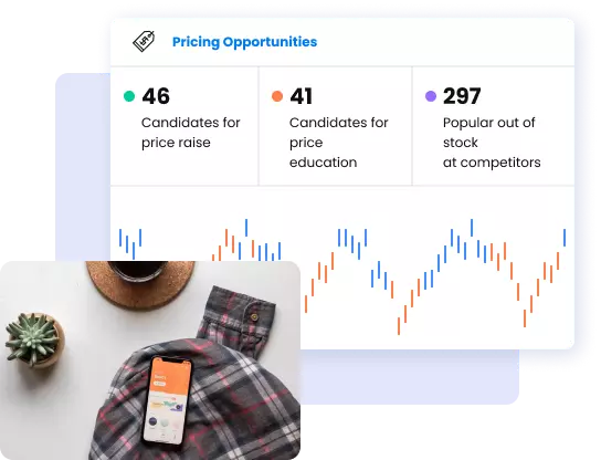 Pricing Optimizer for Retailers & Brands